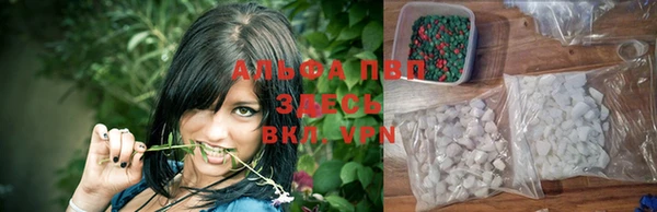 спиды Мегион