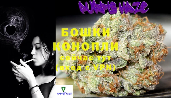 спиды Мегион