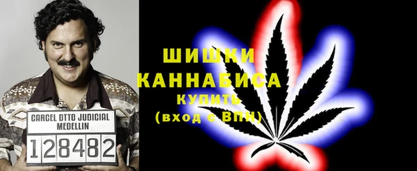 трава Алапаевск