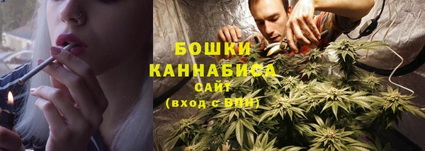 гидра Медвежьегорск