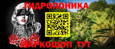 прущие крисы Донецк