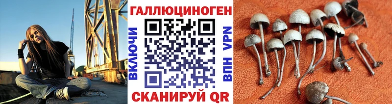где купить наркотик  Томск  Галлюциногенные грибы ЛСД 