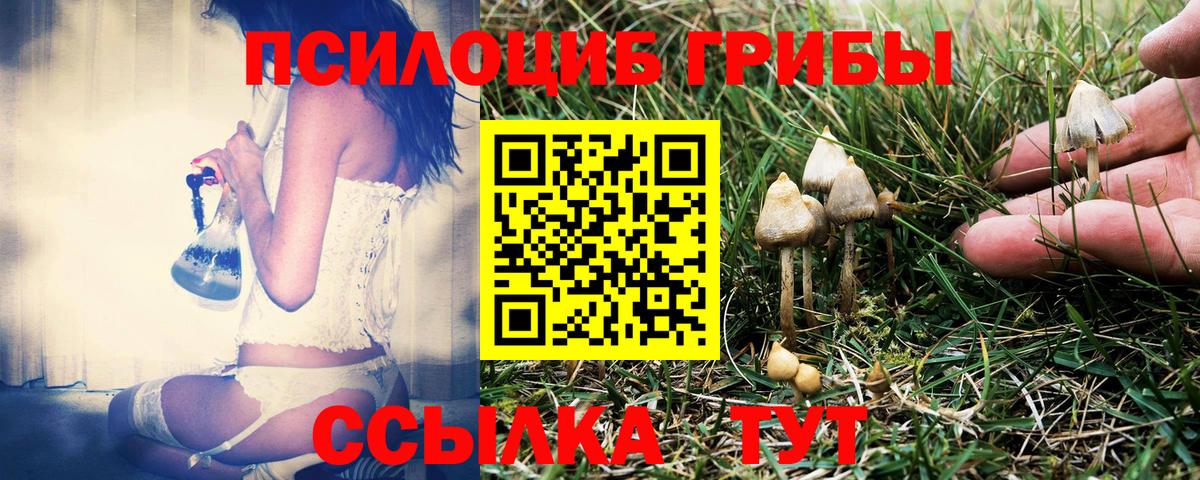 Томск  Псилоцибиновые грибы MAGIC MUSHROOMS  Вход с VPN 