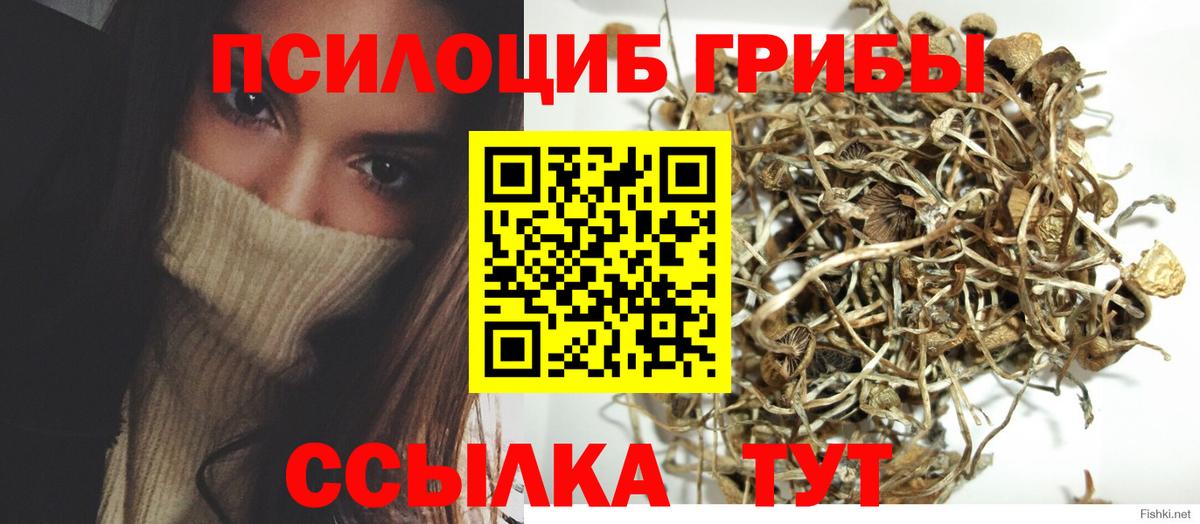 Галлюциногенные грибы прущие грибы Томск