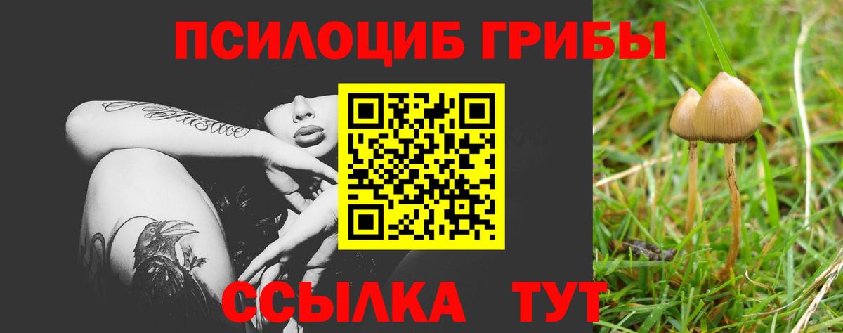 Псилоцибиновые грибы ЛСД Томск